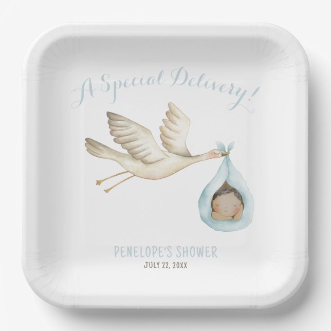 Special Delivery Stork Blue Baby Boy Baby Shower Paper Plate (Front)
