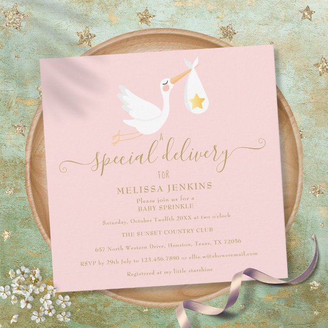 Special Delivery Stork Pink Baby Shower Sprinkle Invitation (Creator Uploaded)