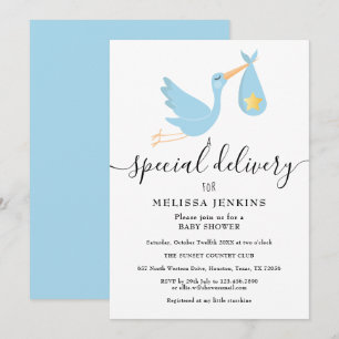 Special Delivery Stork Star Baby Shower Sprinkle Invitation