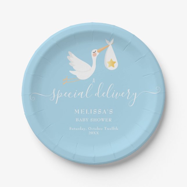 Special Delivery Stork Star Baby Shower Sprinkle Paper Plate (Front)