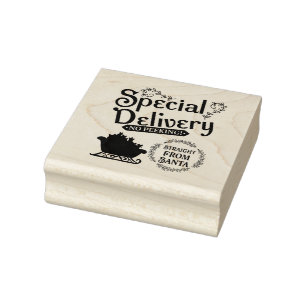 Special Delivery Straight from Santa Rubber Stamp