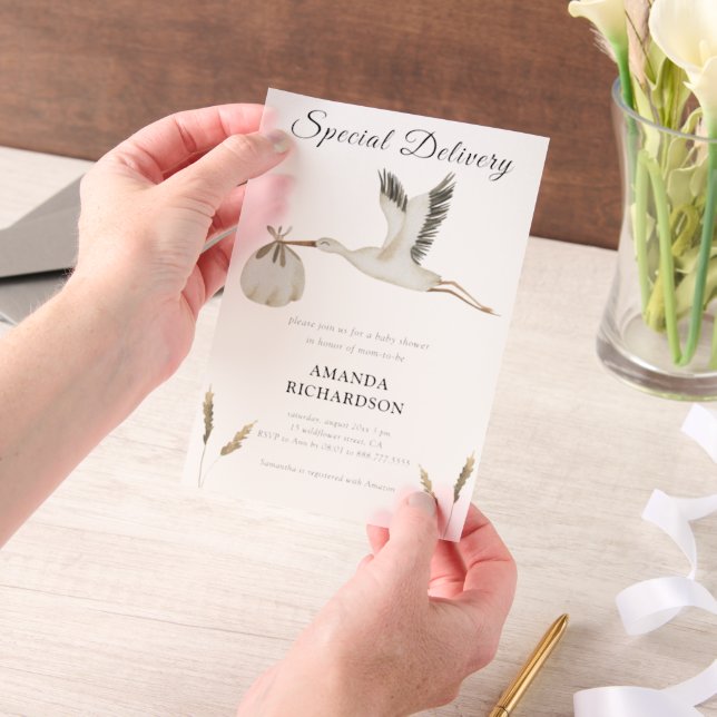 Special Delivery Watercolor Stork Baby Shower Vellum Invitations (Handheld)