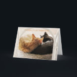 SPECIAL FRIEND HAPPY BIRTHDAY  CARD<br><div class="desc">SPECIAL FRIEND HAPPY BIRTHDAY  -- WITH THESE TWO LITTLE KITTENS SHOWING THE WAY.</div>