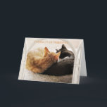 SPECIAL FRIEND HAPPY BIRTHDAY  CARD<br><div class="desc">SPECIAL FRIEND HAPPY BIRTHDAY  -- WITH THESE TWO LITTLE KITTENS SHOWING THE WAY.</div>