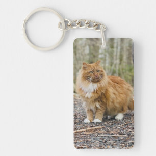 Special Kitty Nemo Keychain