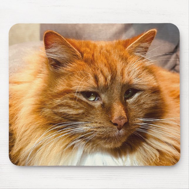 Special Kitty Nemo Mousepad (Front)