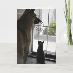 Special Little Things Birthday Card