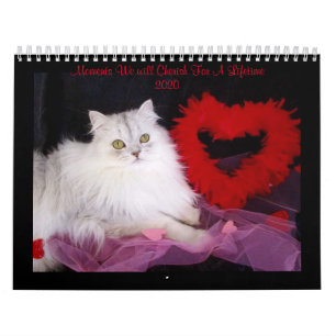 Special moments calendar from iCatz