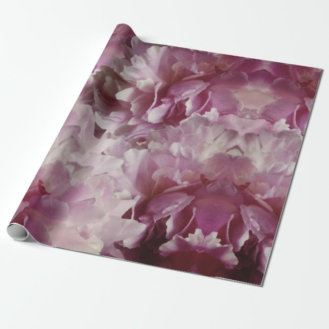 Special Occasions Wrapping Paper (Unrolled)
