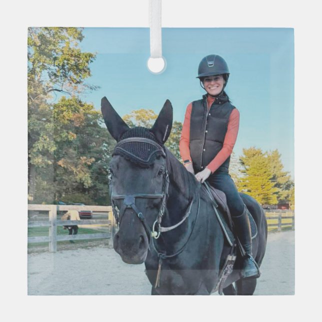 Special Order Horse Glass ornament (Front)