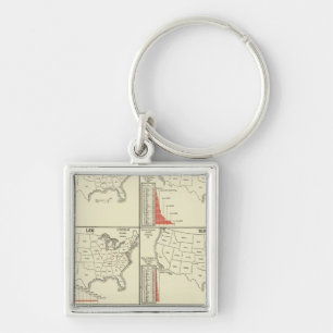special school's statistics key ring