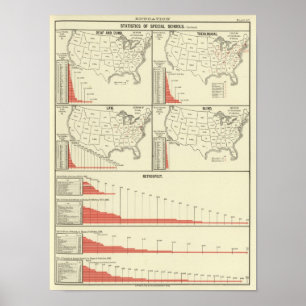 special school's statistics poster