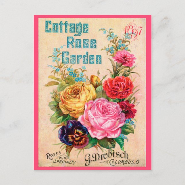 Speciality Roses Postcard (Front)