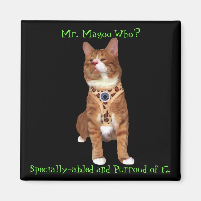 Specially-abled Magoo Magnet (Front)