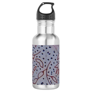 Specialty Mug 532 Ml Water Bottle