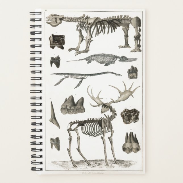 Specimens from Animal bone Structures 2022 Planner (Front)