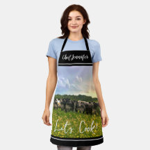 Speckle Park Cattle Under Rain Shower, Sunset Sky