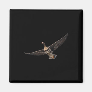 Specklebelly Goose Shirt White Fronted Goose Byr B Magnet