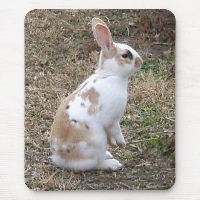 Speckled Bunny Rabbit... Mouse Pad (Front)