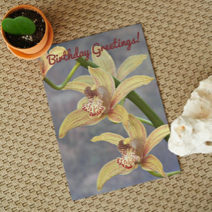 Speckled Cymbidium Orchids Floral Birthday Card