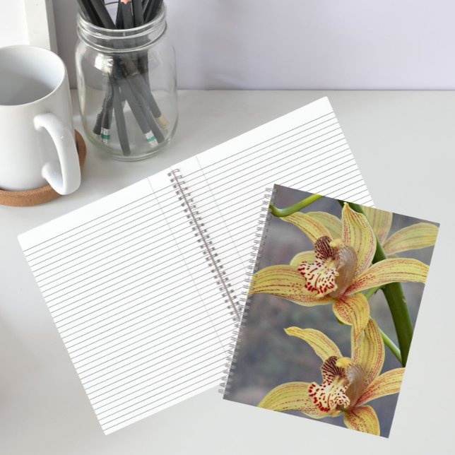 Speckled Cymbidium Orchids Floral Notebook (In Situ)