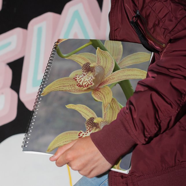 Speckled Cymbidium Orchids Floral Notebook (In Situ)