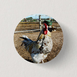 Speckled Farm Rooster, Badge