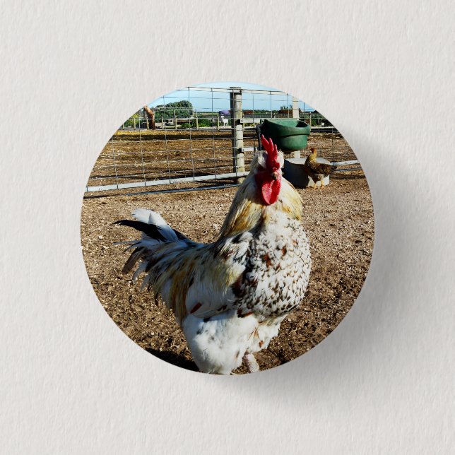 Speckled Farm Rooster, Badge (Front)