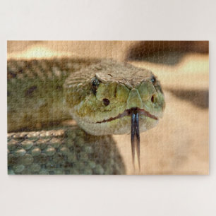 Speckled rattleneck snake jigsaw puzzle