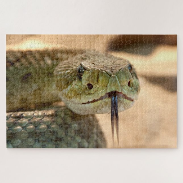 Speckled rattleneck snake jigsaw puzzle (Horizontal)