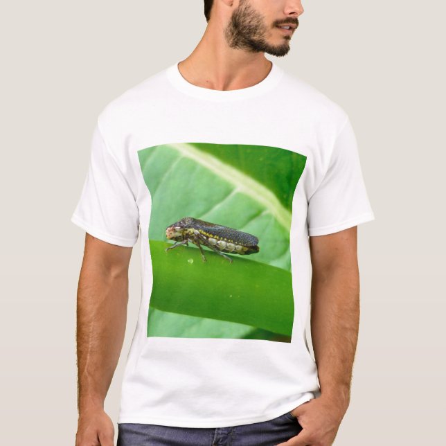 Speckled Sharpshooter Leaf Hopper Items T-Shirt (Front)