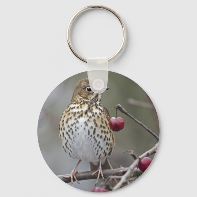 Speckled Songster Keyring (Front)