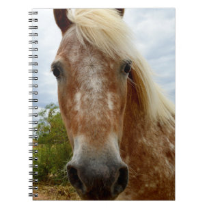 Speckled Sugar The Appaloosa Horse, Notebook