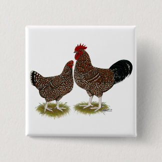 Speckled Sussex Chickens 15 Cm Square Badge