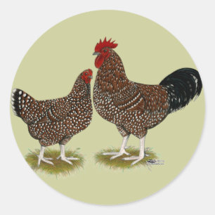 Speckled Sussex Chickens Classic Round Sticker