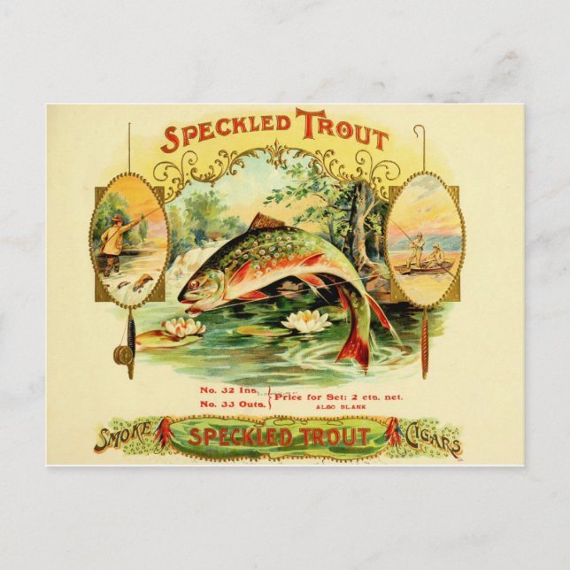 Speckled Trout Cigar Case Postcard (Front)