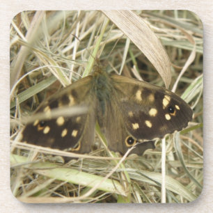 Speckled Wood Butterfly Cork Coaster