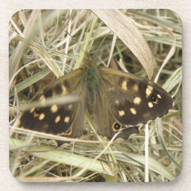Speckled Wood Butterfly Cork Coaster (Front)