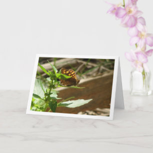 Speckled Wood Butterfly Maculada, Pararge Aegeria Card