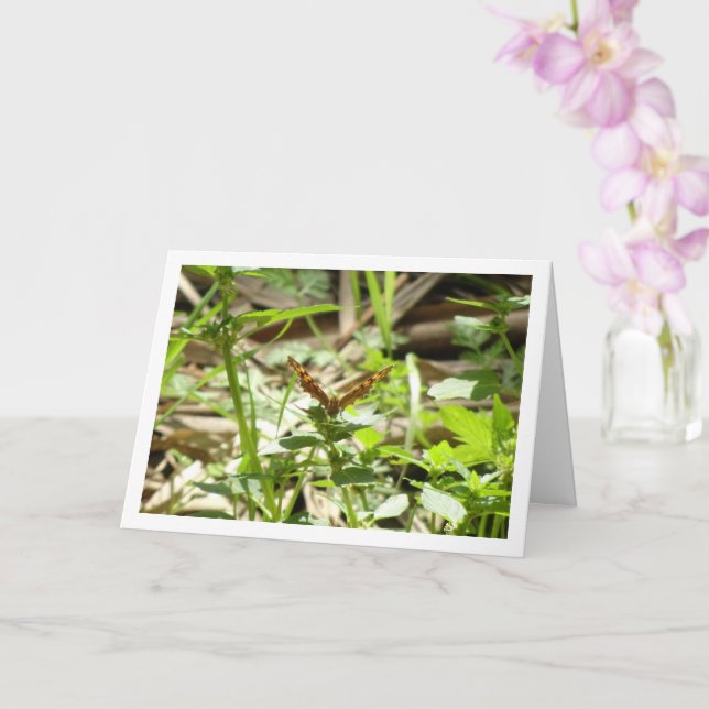 Speckled Wood Butterfly Maculada, Pararge Aegeria Card (Orchid)