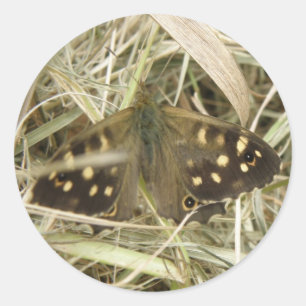 Speckled Wood Butterfly Stickers