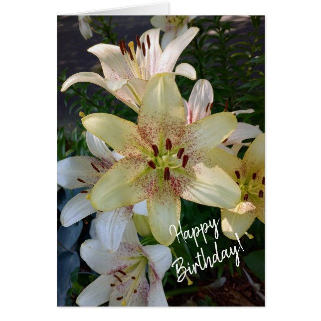 Speckled Yellow Lily Flowers Birthday Card (Front)