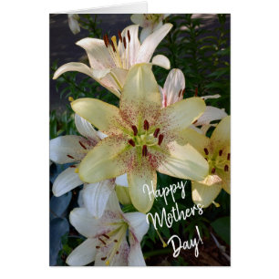 Speckled Yellow Lily Flowers Mother's Day Card