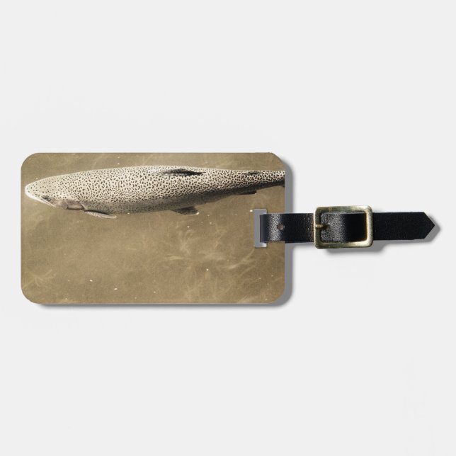 Speckles Luggage Tag (Front Horizontal)