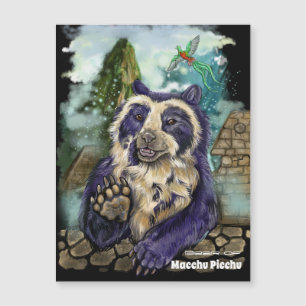 Spectacled Bear