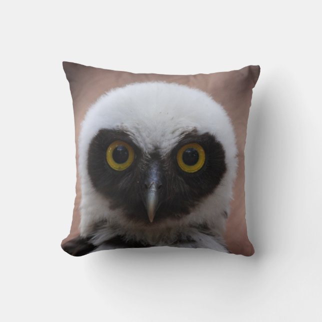 Spectacled Owl Cushion (Front)