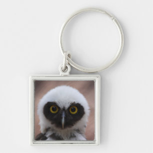 Spectacled Owl Key Ring