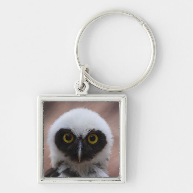 Spectacled Owl Key Ring (Front)