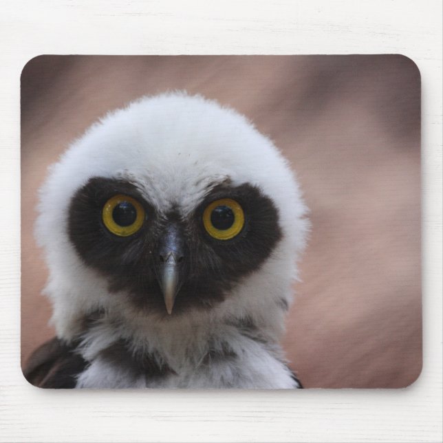 Spectacled Owl Mouse Pad (Front)