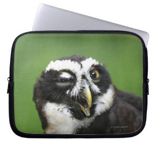 Spectacled Owl (Pulsatrix perspicillata) Laptop Sleeve